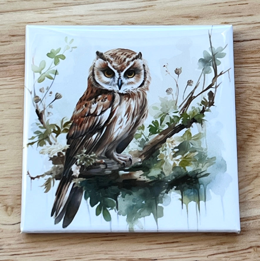 Watercolor Owl Art 2.5" Square Magnet