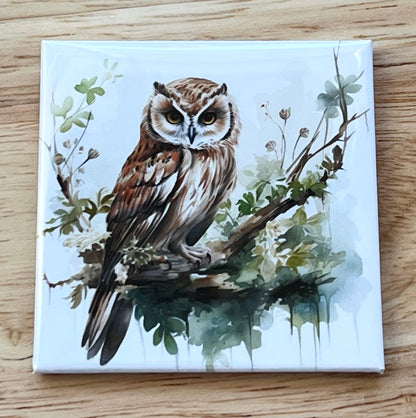 Watercolor Owl Art 2.5" Square Magnet
