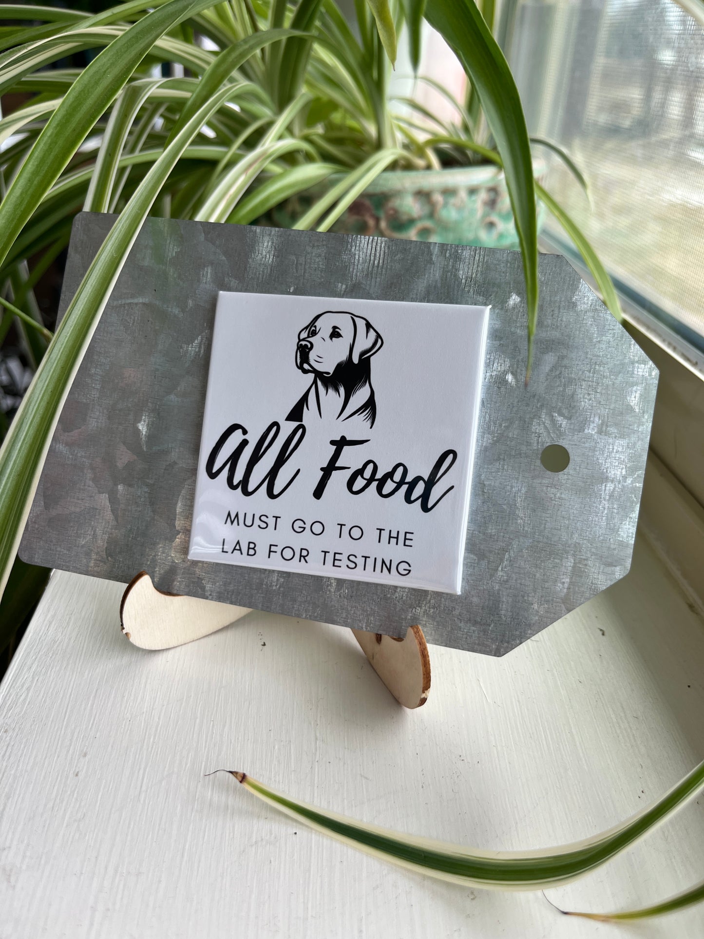 All Food Must Go To The Lab 2.5" Square Magnet