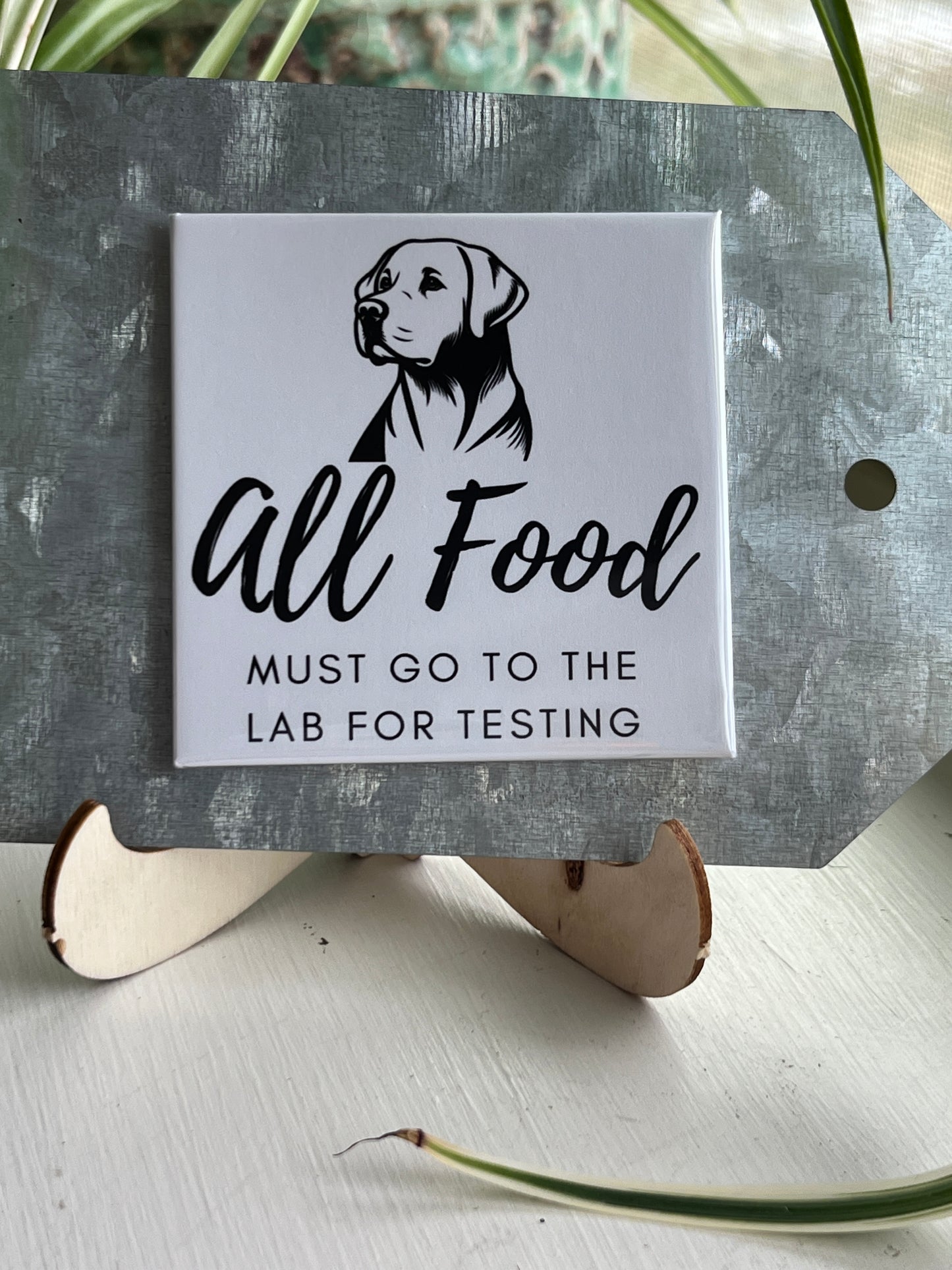 All Food Must Go To The Lab 2.5" Square Magnet